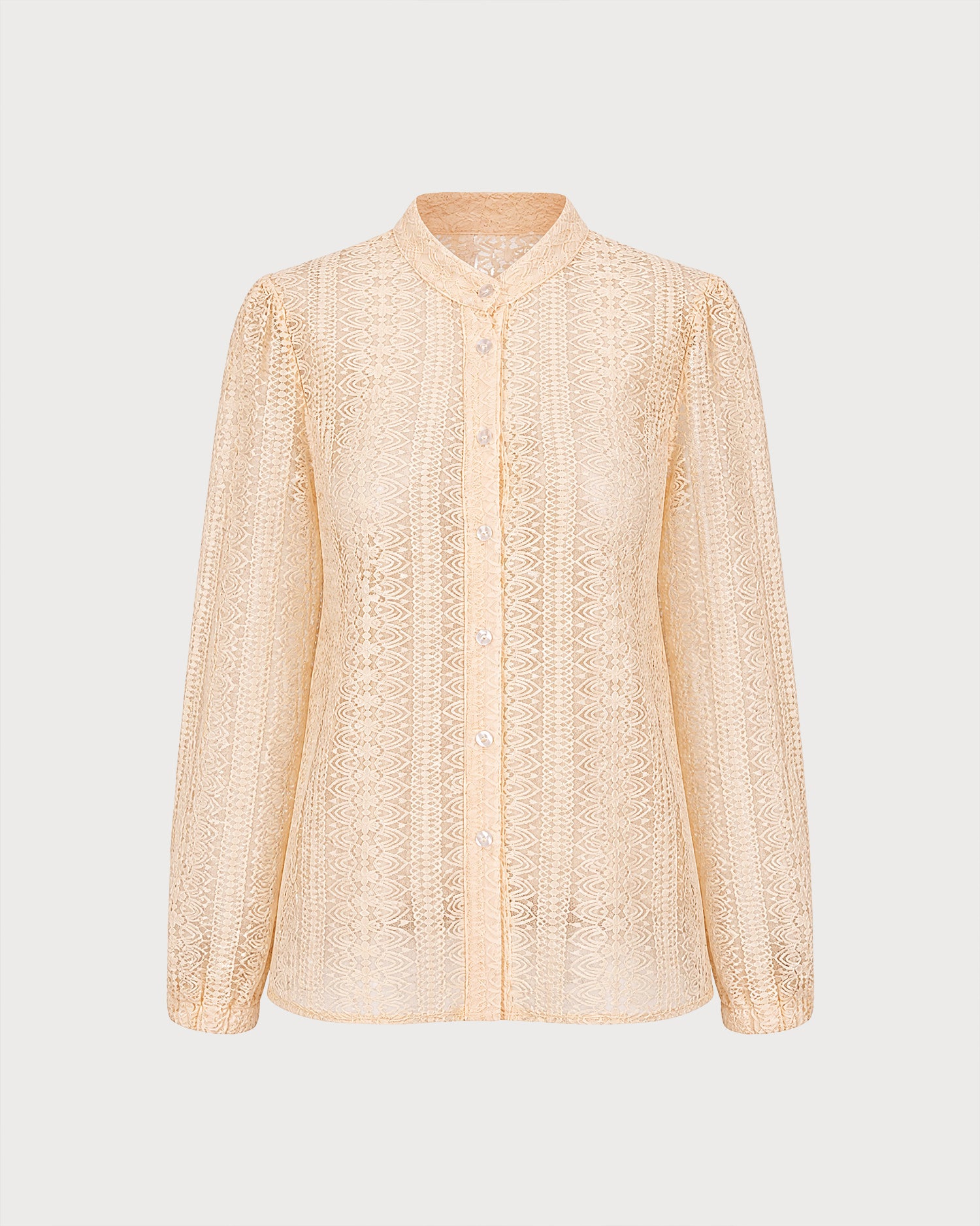 Apricot Turtle See Through Textured Shirt 02