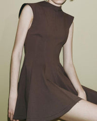 Brown Sleeveless A-Line Mini Dress