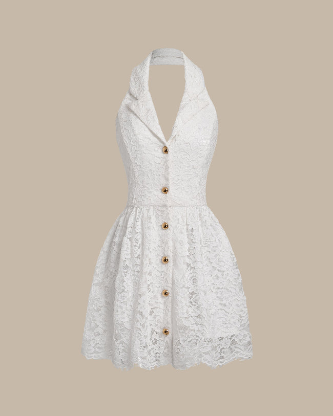 White Lace Collared Sleeveless Mini Dress