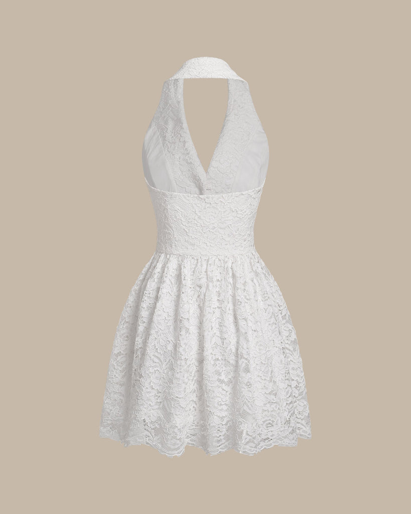 White Lace Collared Sleeveless Mini Dress
