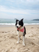 Women Woven Cotton Triangle Scarf Beach Accessories - RIHOAS