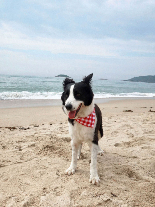 Women Woven Cotton Triangle Scarf Beach Accessories - RIHOAS