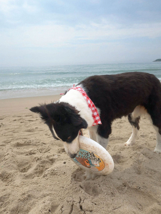 Women Woven Cotton Triangle Scarf Beach Accessories - RIHOAS