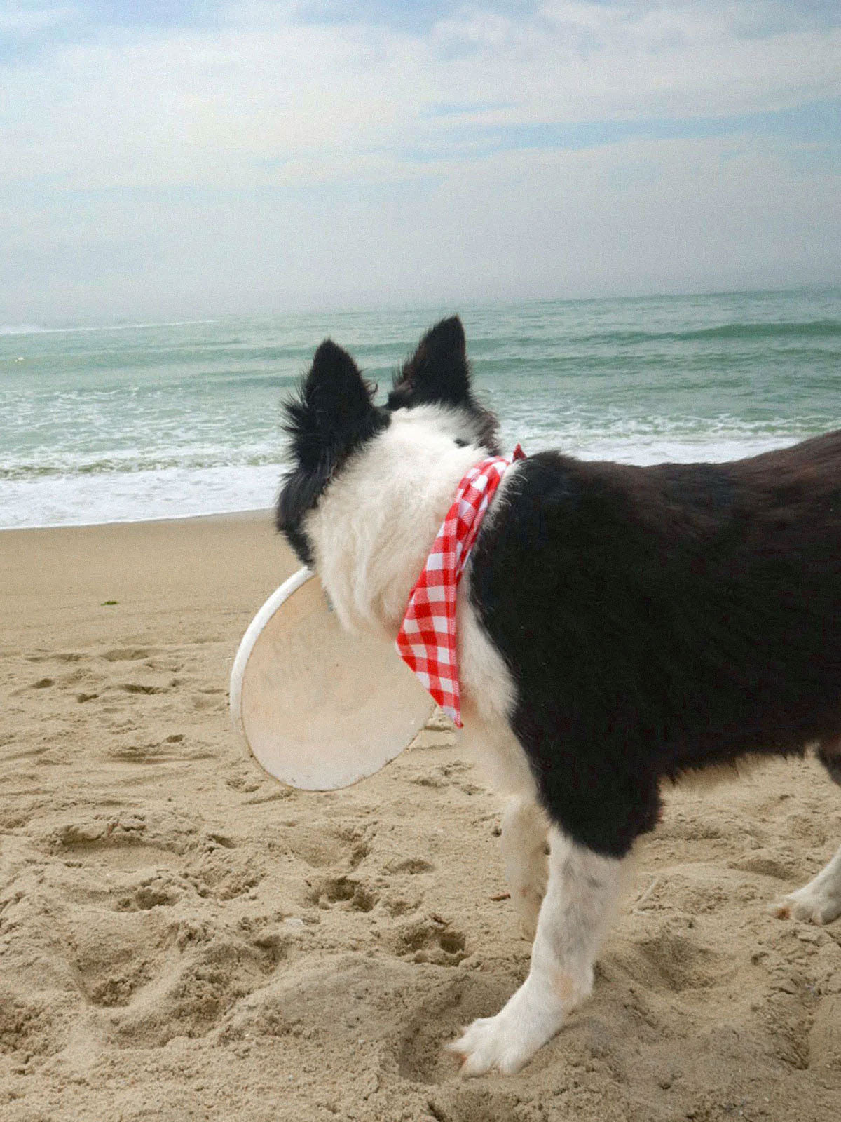 Women Woven Cotton Triangle Scarf Beach Accessories - RIHOAS