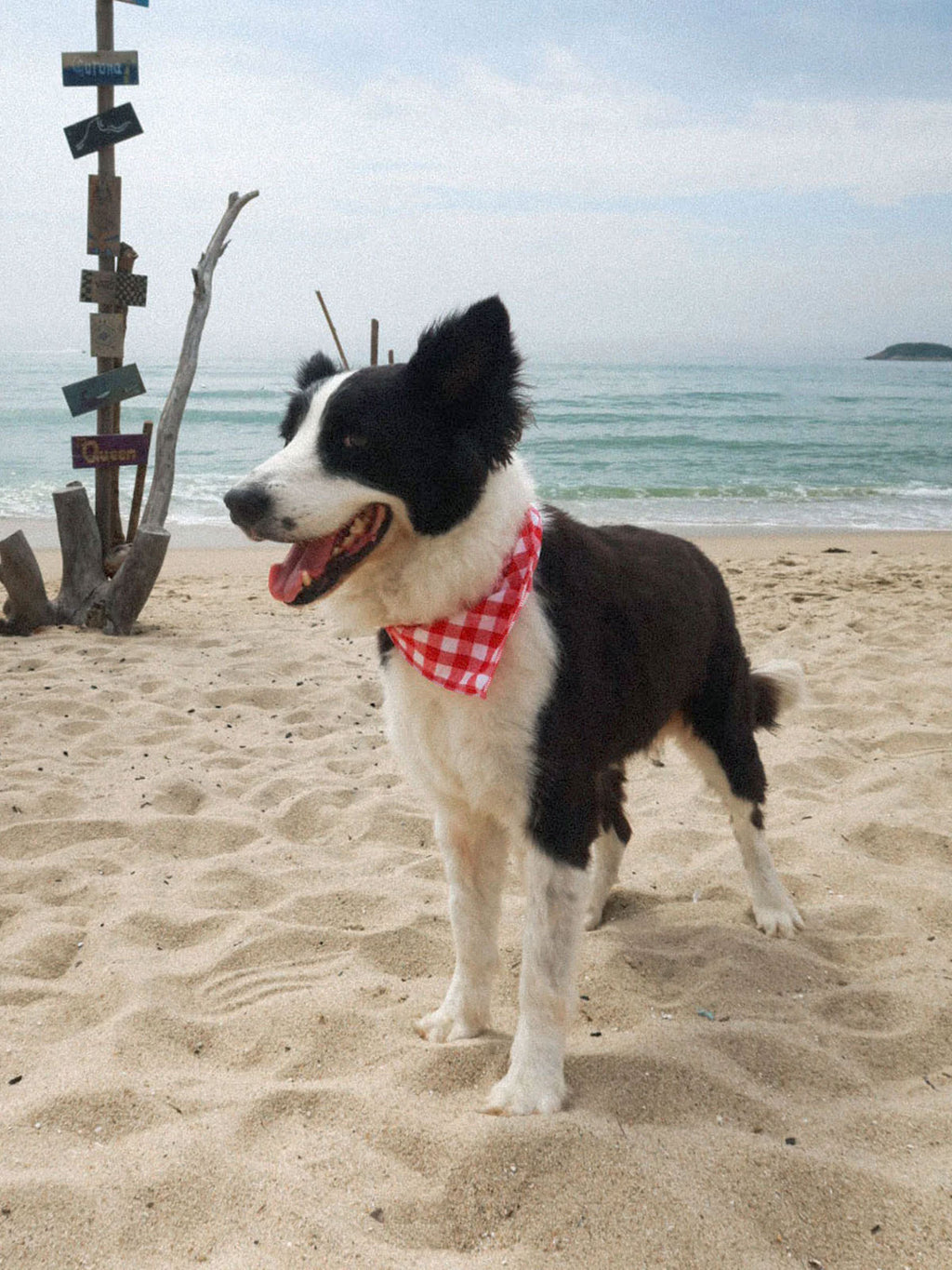 Women Woven Cotton Triangle Scarf Red Beach Accessories - RIHOAS