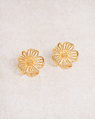 Women's Earrings Gold Earrings - RIHOAS