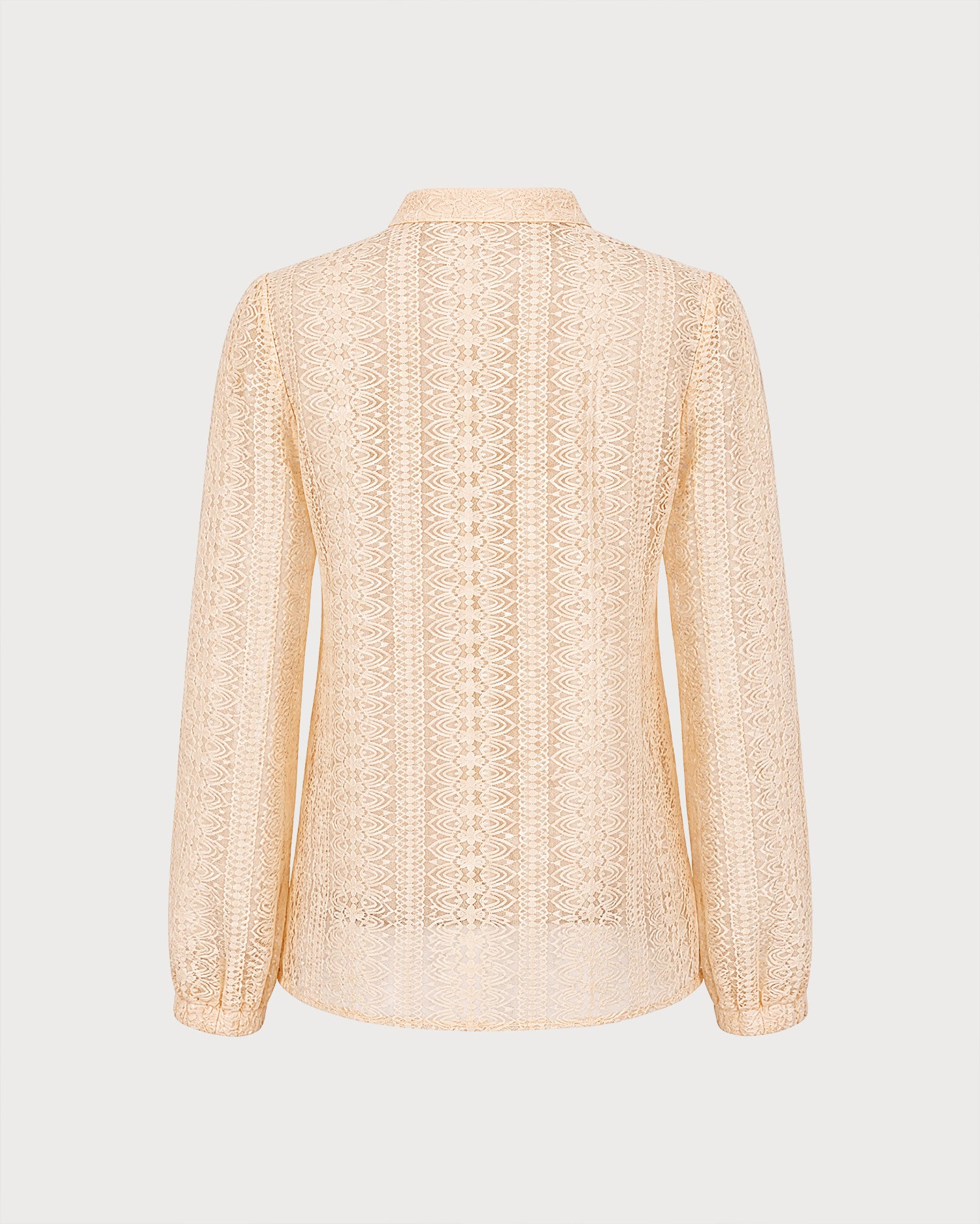 Apricot Turtle See Through Textured Shirt 03